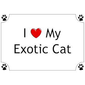 Exotic Cat T-Shirt - I love my