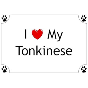 Tonkinese Cat T-Shirt - I love my