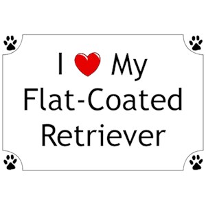 Flat-Coated Retriever T-Shirt - I love my