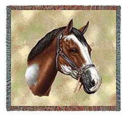Paint Horse Blanket