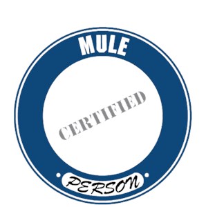 Mule T-Shirt - Certified Person