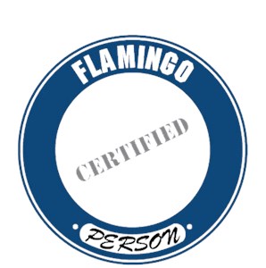 Flamingo T-Shirt - Certified Person