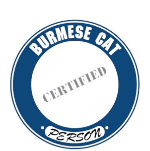 Burmese Cat T-Shirt - Certified Person