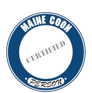 Maine Coon Cat T-Shirt - Certified Person
