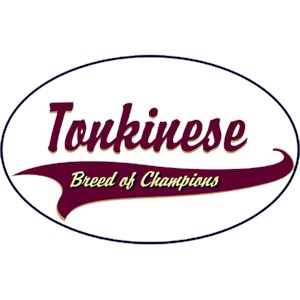 Tonkinese Cat T-Shirt - Breed of Champions