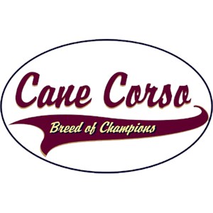 Cane Corso T-Shirt - Breed of Champions