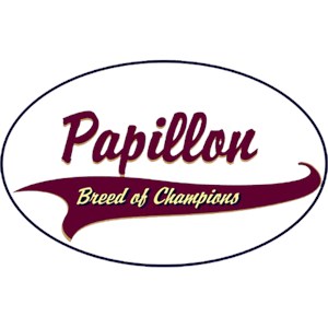 Papillon T-Shirt - Breed of Champions