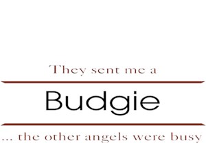 Budgie T-Shirt - Other Angels