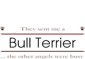 Bull Terrier T-Shirt - Other Angels