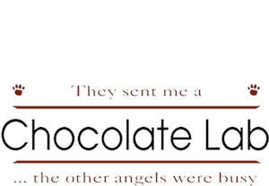 Chocolate Lab T-Shirt - Other Angels