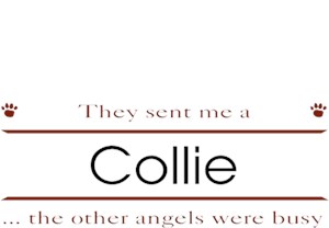 Collie T-Shirt - Other Angels