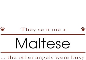 Maltese T-Shirt - Other Angels