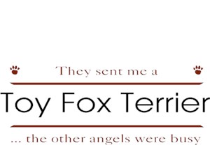 Toy Fox Terrier T-Shirt - Other Angels