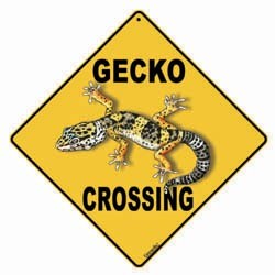 Gecko Sign
