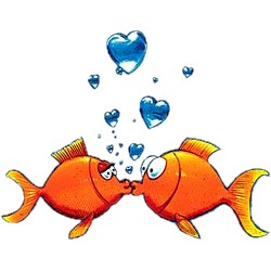 Goldfish T-Shirt - Bubbly