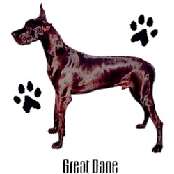 Great Dane T-Shirt - Stylin With Paws