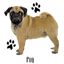 Pug T-Shirt - Stylin With Paws