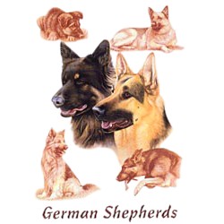 German Shepherd T-Shirt - Eye Catching