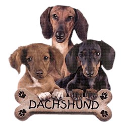 Dachshund T-Shirt - Trio of Three