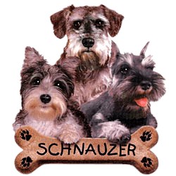 Schnauzer T-Shirt - Trio of Three