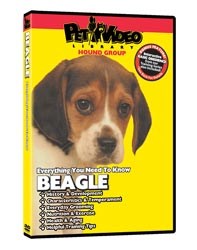 Beagle Video