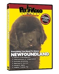 Newfoundland Video
