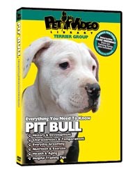 Pit Bull Terrier Video