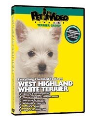 West Highland Terrier Video