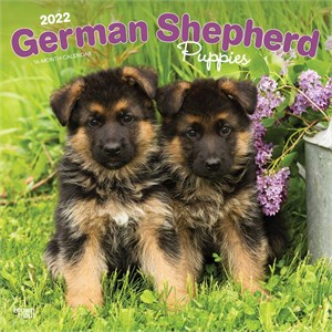  German Shepherd Puppies Calendar 2013