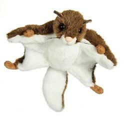Squirrel Plush