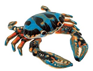 Hermit Crab Plush