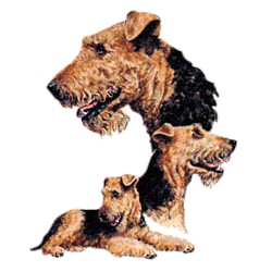 Airedale Terrier T-Shirt - Best Friends