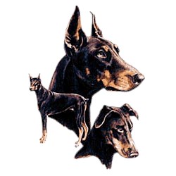 Red Doberman Pinscher T-Shirt - Best Friends