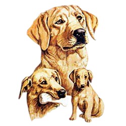Yellow Lab T-Shirt - Best Friends