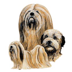 Lhasa Apso T-Shirt - Best Friends