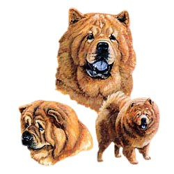 Chow Chow T-Shirt - Best Friends