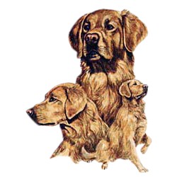Golden Retriever T-Shirt - Best Friends