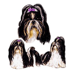 Shih Tzu T-Shirt - Best Friends