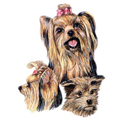 Yorkshire Terrier T-Shirt - Best Friends