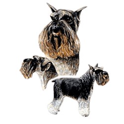 Schnauzer T-Shirt - Best Friends