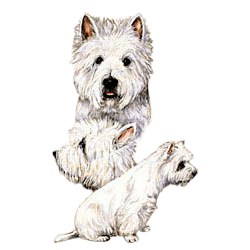 West Highland Terrier T-Shirt - Best Friends