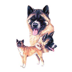 Akita T-Shirt - Best Friends