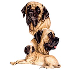 Mastiff T-Shirt - Best Friends