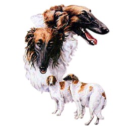 Borzoi T-Shirt - Best Friends