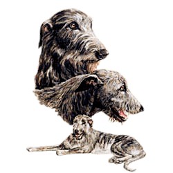 Irish Wolfhound T-Shirt - Best Friends