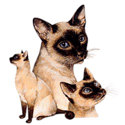 Siamese Cat T-Shirt - Best Friends