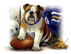 Bulldog T-Shirt - Sitting in Daisies
