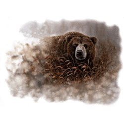 Grizzly Bear T-Shirt - Colorful Illustration