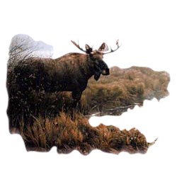 Moose T-Shirt - Gorgeously Depicted