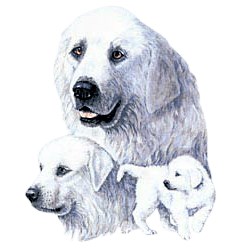 Great Pyrenees T-Shirt - Best Friends